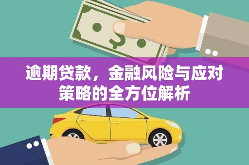 略阳逾期贷款，金融风险与应对策略的全方位解析