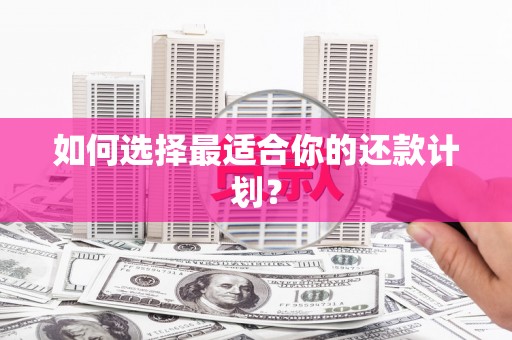 略阳如何选择最适合你的还款计划？