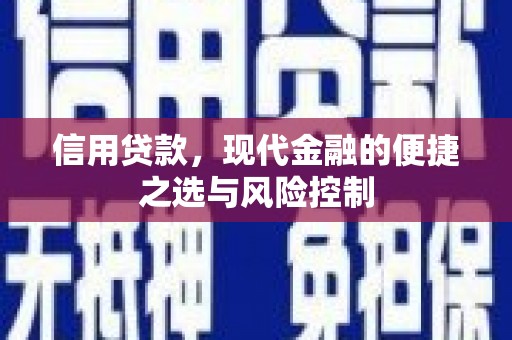 略阳信用贷款，现代金融的便捷之选与风险控制