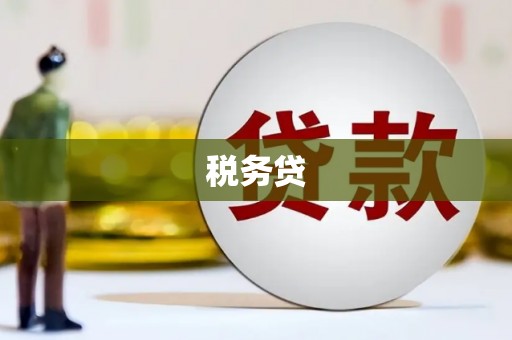 略阳税务贷