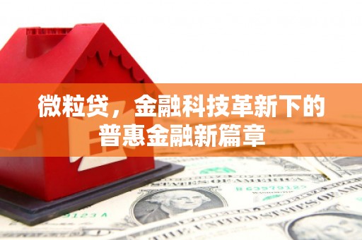 略阳微粒贷，金融科技革新下的普惠金融新篇章