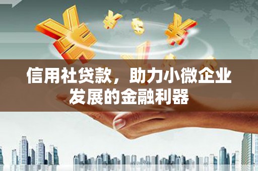 略阳信用社贷款，助力小微企业发展的金融利器
