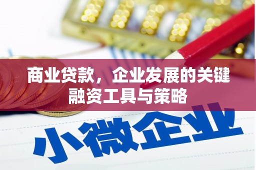 略阳商业贷款，企业发展的关键融资工具与策略