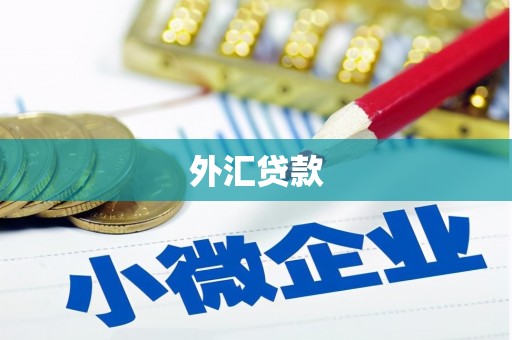 略阳外汇贷款