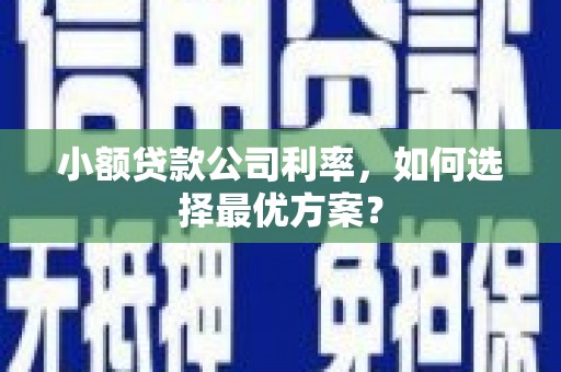 略阳小额贷款公司利率，如何选择最优方案？