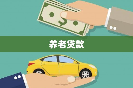 略阳养老贷款
