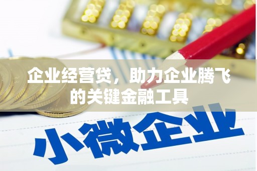 略阳企业经营贷，助力企业腾飞的关键金融工具
