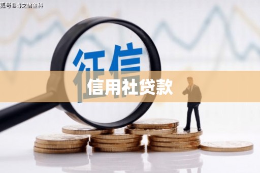 略阳信用社贷款