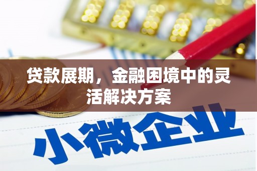 略阳贷款展期，金融困境中的灵活解决方案