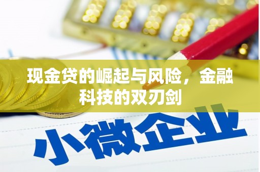 略阳现金贷的崛起与风险，金融科技的双刃剑