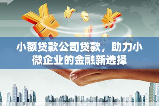 略阳小额贷款公司贷款，助力小微企业的金融新选择