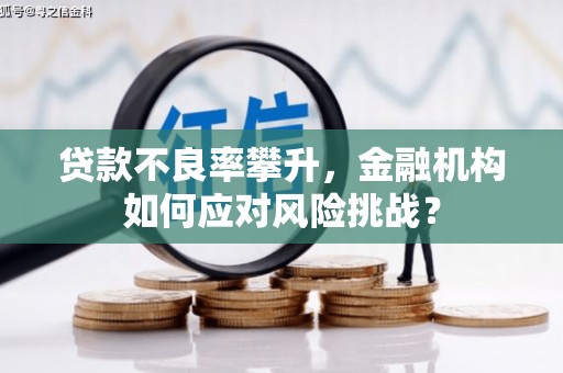略阳贷款不良率攀升，金融机构如何应对风险挑战？