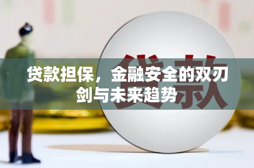 略阳贷款担保，金融安全的双刃剑与未来趋势