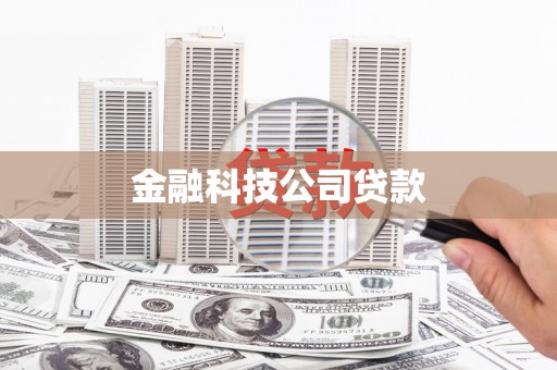 略阳金融科技公司贷款