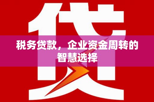 略阳税务贷款，企业资金周转的智慧选择
