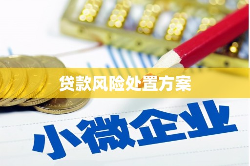 略阳贷款风险处置方案