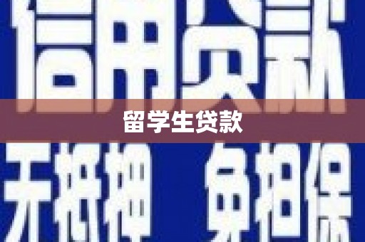 略阳留学生贷款