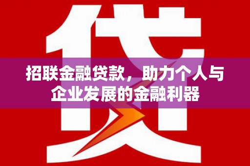 略阳招联金融贷款，助力个人与企业发展的金融利器