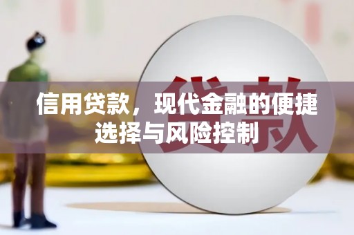略阳信用贷款，现代金融的便捷选择与风险控制