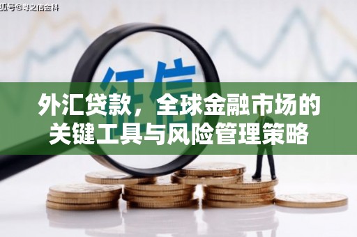 略阳外汇贷款，全球金融市场的关键工具与风险管理策略