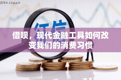 略阳借呗，现代金融工具如何改变我们的消费习惯