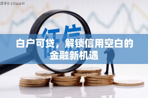 略阳白户可贷，解锁信用空白的金融新机遇