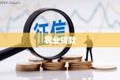 略阳农业贷款