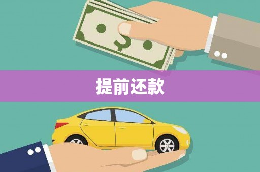 略阳提前还款