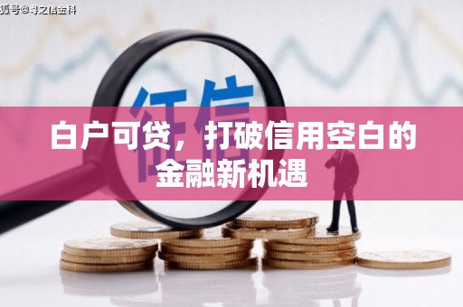 略阳白户可贷，打破信用空白的金融新机遇