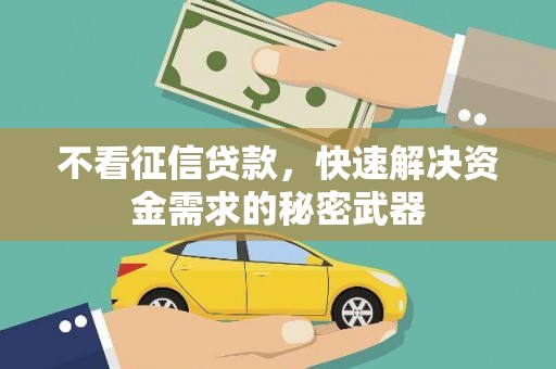 略阳不看征信贷款，快速解决资金需求的秘密武器