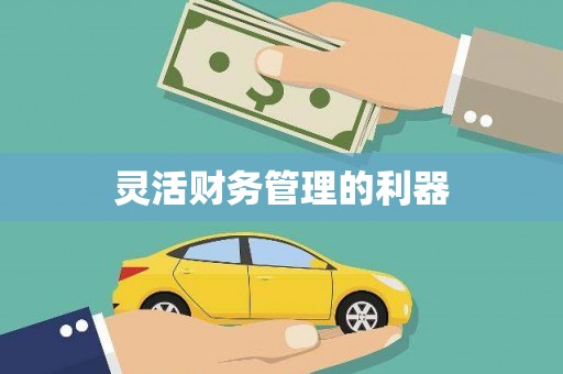 略阳灵活财务管理的利器