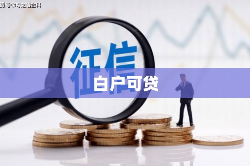 略阳白户可贷