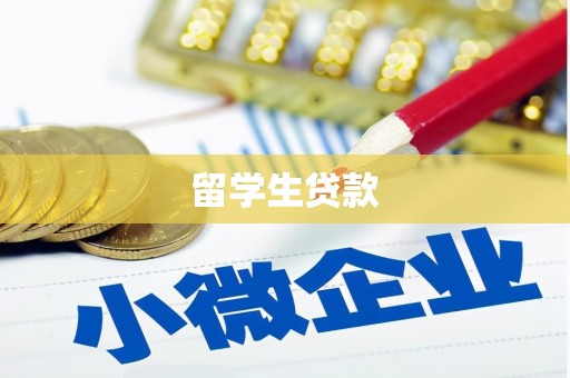 略阳留学生贷款