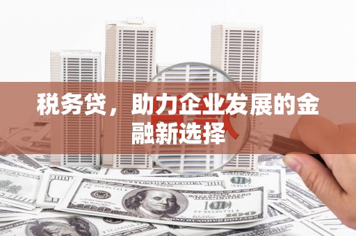略阳税务贷，助力企业发展的金融新选择