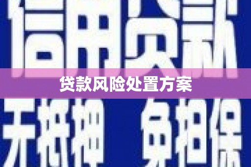 略阳贷款风险处置方案