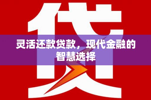 略阳灵活还款贷款，现代金融的智慧选择