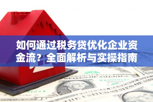 略阳如何通过税务贷优化企业资金流？全面解析与实操指南