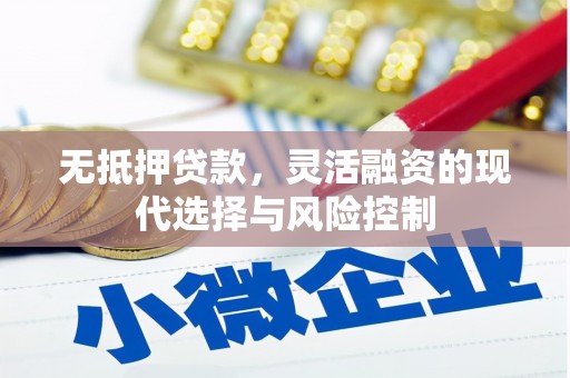略阳无抵押贷款，灵活融资的现代选择与风险控制