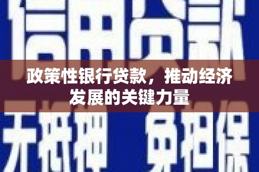 略阳政策性银行贷款，推动经济发展的关键力量
