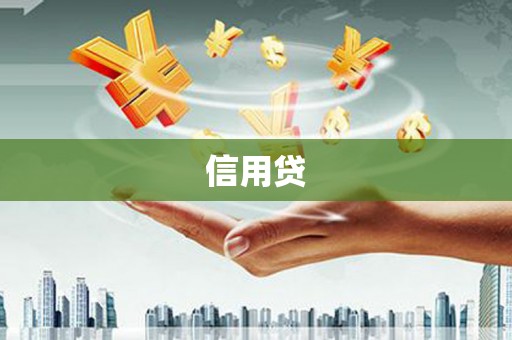 略阳信用贷