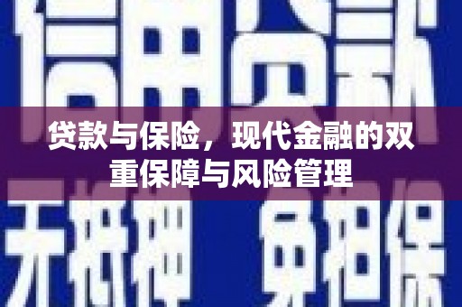 略阳贷款与保险，现代金融的双重保障与风险管理