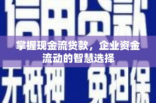 略阳掌握现金流贷款，企业资金流动的智慧选择