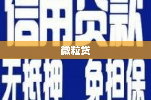 略阳微粒贷