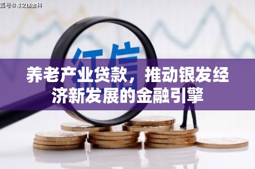 略阳养老产业贷款，推动银发经济新发展的金融引擎
