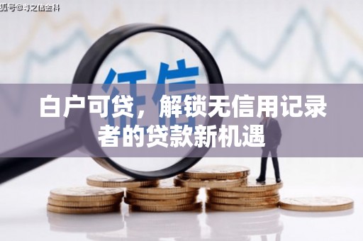 略阳白户可贷，解锁无信用记录者的贷款新机遇