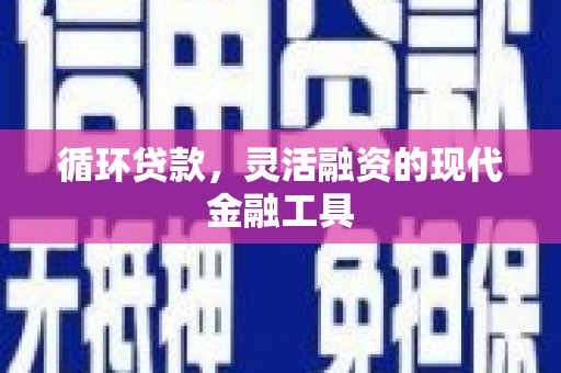 略阳循环贷款，灵活融资的现代金融工具