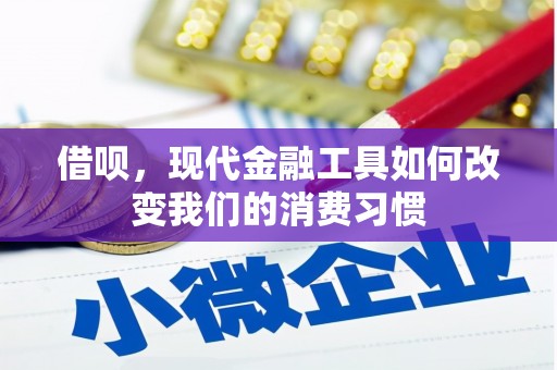 略阳借呗，现代金融工具如何改变我们的消费习惯