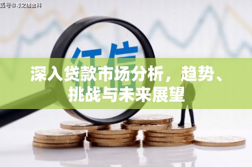 略阳深入贷款市场分析，趋势、挑战与未来展望