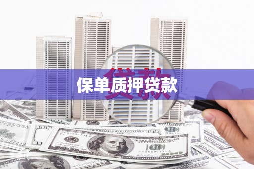 略阳保单质押贷款