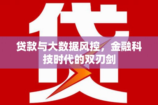略阳贷款与大数据风控，金融科技时代的双刃剑